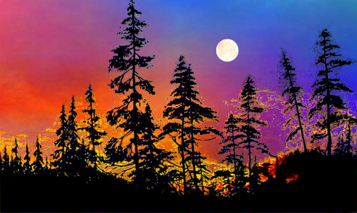 sunset silhouette painting