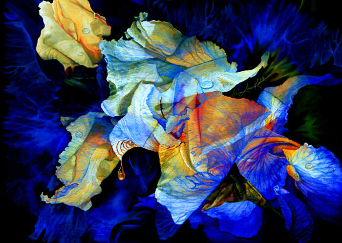 digital flower painting
