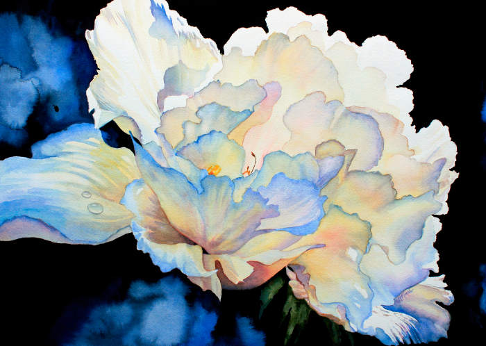 peony painting