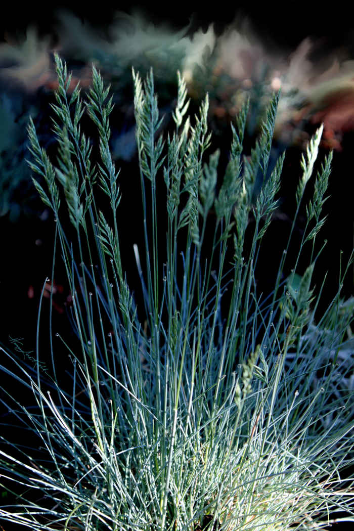 nature photography art prints