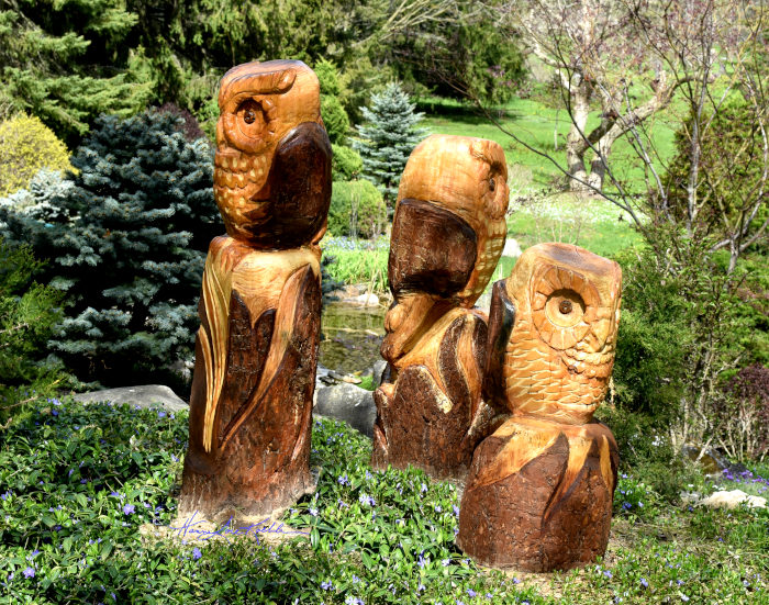 wood cookie mold carving art photography prints