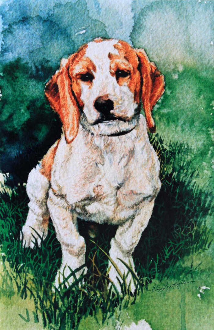 Jack Russell Terrier painting