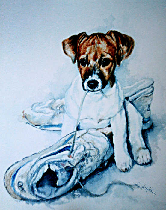 Jack Russell Terrier puppy portrait