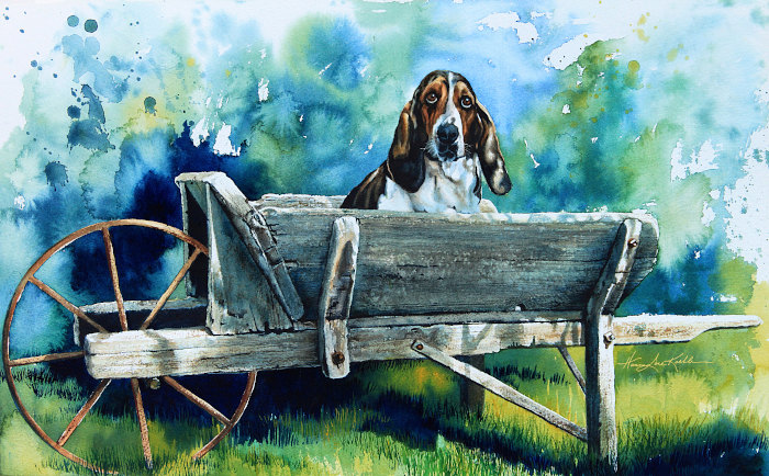 Bassett Hound Portrait
