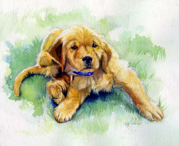 Labrador Retriever puppy portrait