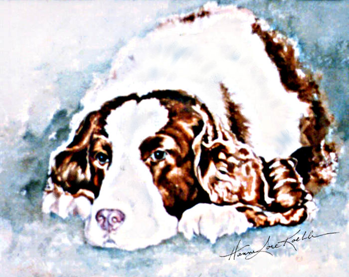 Cocker Spaniel Portrait