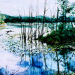 painting of loon skimming across a lake