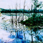 painting of loon on a lake