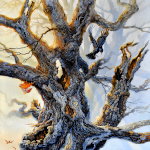 ancient gnarled tree