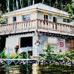 artist who paints house portraits