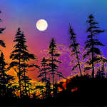 Digital forest silhouette sunset painting