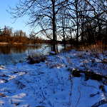 riverbank tracks in the snow
