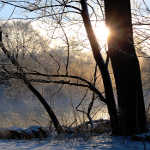 Misty river sunrise winter art photography