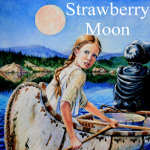 6 pioneer illustrations