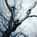 racoon wildlife painting