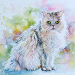 Persian Kitty Portrait