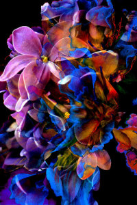 Digital Flower Design